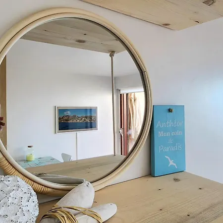 Petit Paradis Vue Mer- Et Calanques A 3 Mn Apartment *