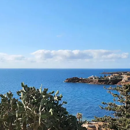 Petit Paradis Vue Mer- Et Calanques A 3 Mn